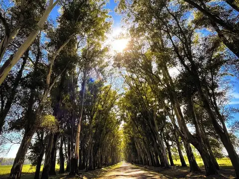 Bernardino Rivadavia 100, Piso 204