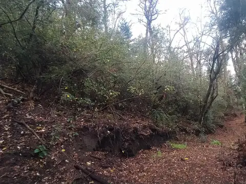 Terreno en Venta de 2518,0 m2