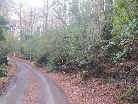 Lote en Venta en Alihuen Alto, San Martin De Los Andes