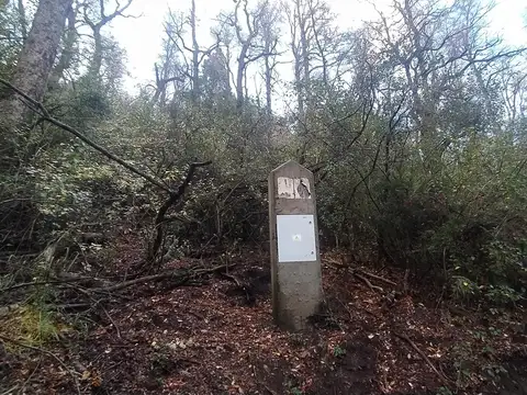 Lote en Alihuen Alto 100