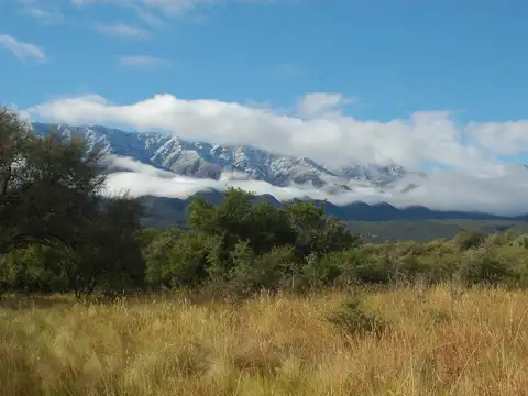ULTIMOS TRES LOTES EN LA TRAVESÍA LUYABA TRASLASIERRA