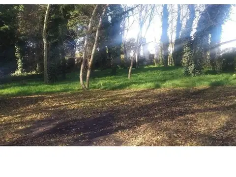 Terreno en Venta de 740,0 m2