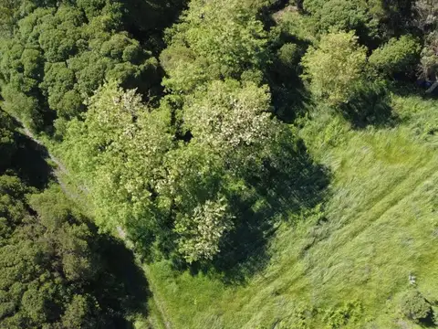 venta lote mar del sur