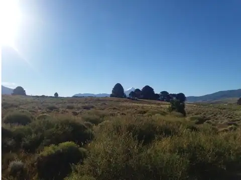 Terreno en Venta de 2000,0 m2