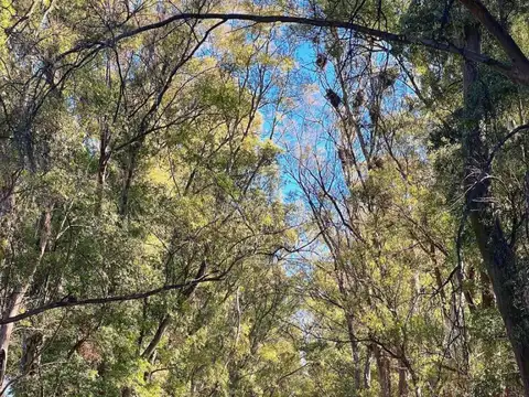 Bernardino Rivadavia