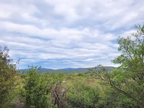 00483 - Los Quebrachos