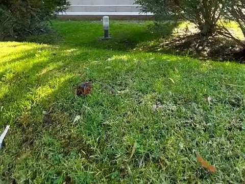 VENTA DE MONOAMBIENTE EN PINAMAR