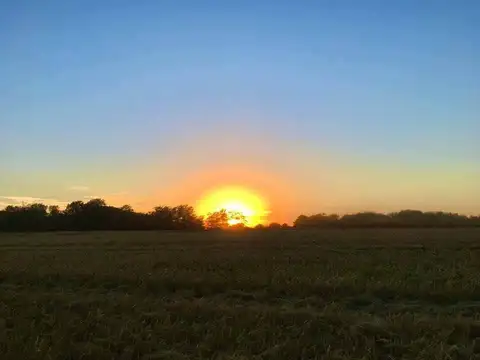 Terreno en Venta en Navarro, USD 21.600