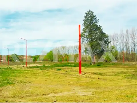 Terreno Don Ricardo Cinco Saltos