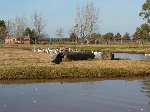 Fracción de campo en General Rodriguez