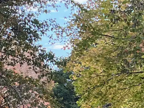 Fracción de campo en General Rodriguez