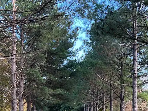 Fracción de campo en General Rodriguez