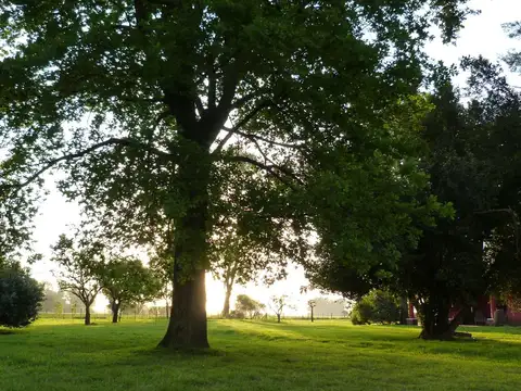 Fracción de campo en General Rodriguez
