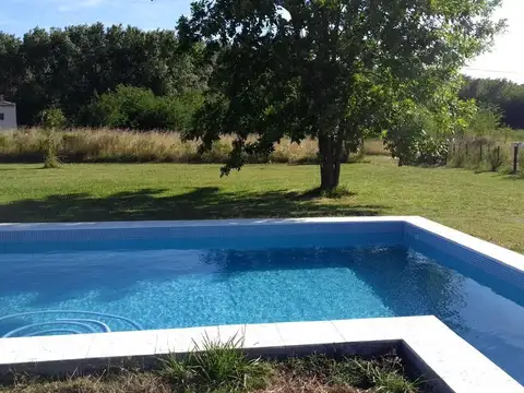 Calle 19, La Araucaria