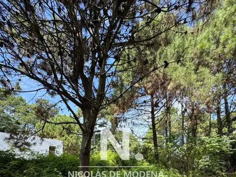 Terreno en Venta en Lugano, USD 175.000