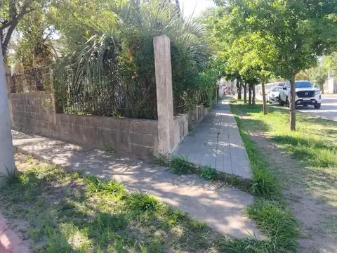 Juan Manuel Fangio 8300