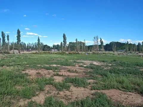 Terreno en Venta de 1000,0 m2