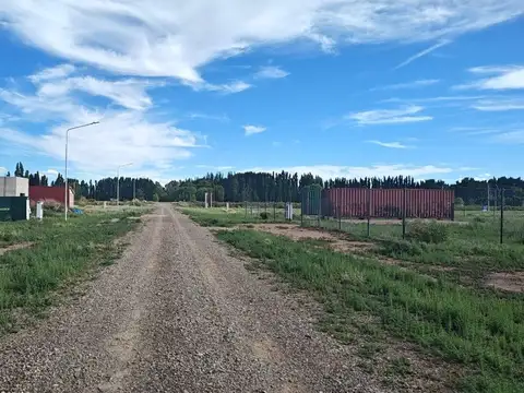 Lote 7 de la Manzana c