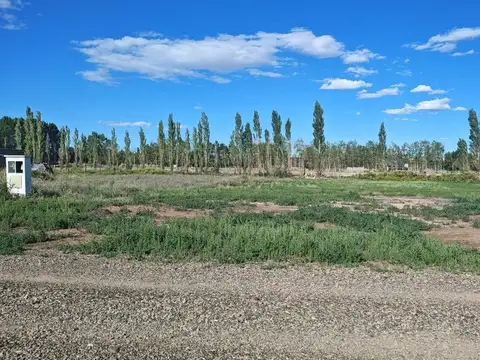 Terreno en Venta en Plottier, USD 20.500