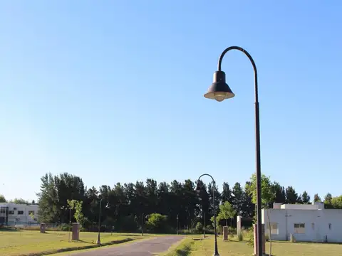 Carola Lorenzini 4600