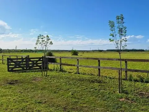 Terreno en Venta de 15000,0 m2