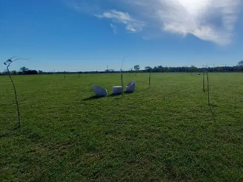 Terrenos y Lotes en Venta en Joaquin Gorina [Cod: 790]