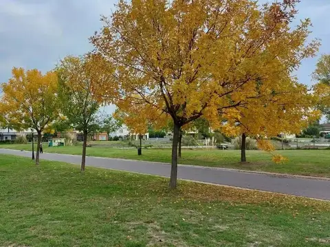 Venta Lote a La Laguna barrio San Matias Escobar
