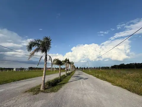 Terreno en Venta en Campana, USD 42.000