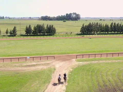 LOTE EN VENTA EN CHACRAS DE CHACRAS DE LA TRINIDAD