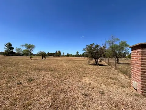 Terreno en Venta de 1233,0 m2