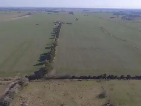 Campo de 402 HA en OPEN DOOR - Lujan