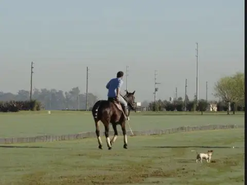 Terreno en Venta en Chacras de la Trinidad, USD 65.000