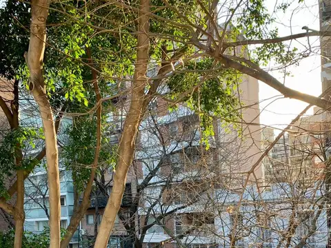 Avenida Chenaut e/ Baez y Huergo