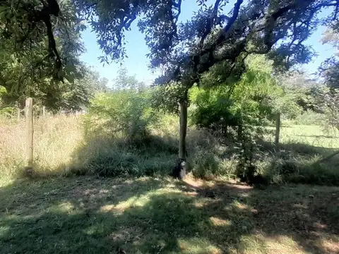 Terreno en Venta de 456,0 m2