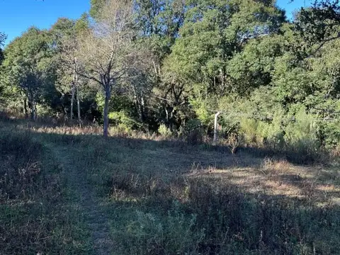 Terreno en Venta de 1513,0 m2