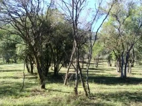 Exc. Lte Vta 1.272 M2 Exc. Zona Las Cañadas Rta 9 Km. 4