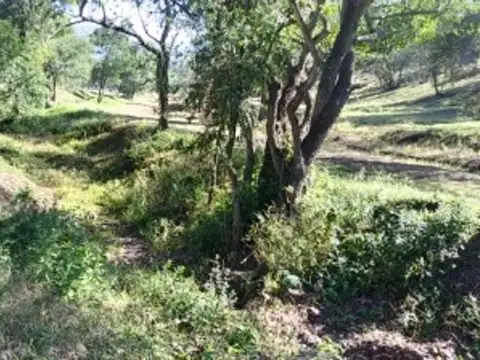 Terreno en Venta de 1272,0 m2