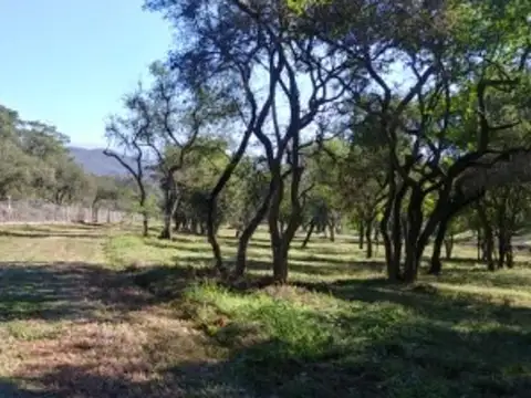 Terreno en Venta de 1272,0 m2