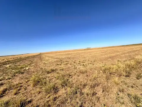 Campo de 400ha en venta - Zona Choique