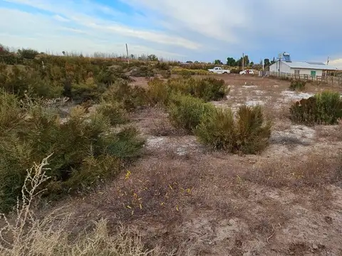 Terreno en Venta de 1000,0 m2