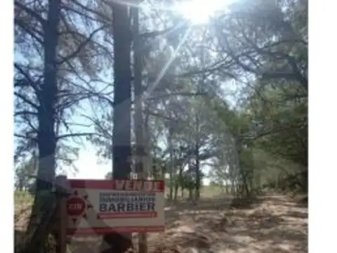 Terreno en Venta en San Jose Del Rincon, USD 20.000