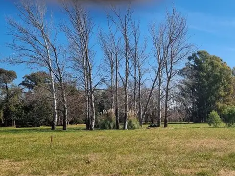 Terreno en Venta en Olivera, USD 130.000