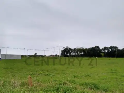 Tierra de sueños , Piso 0