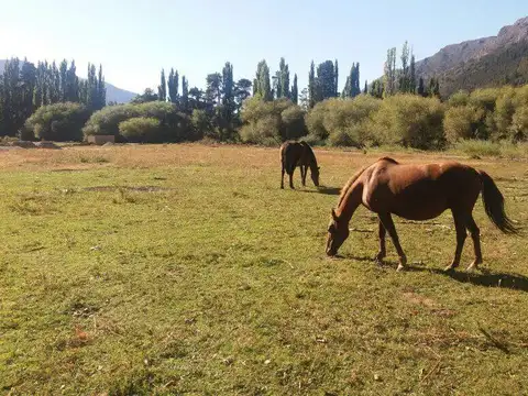 Terreno en Venta de 2000,0 m2