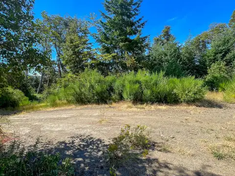 Los coihues , Piso 0