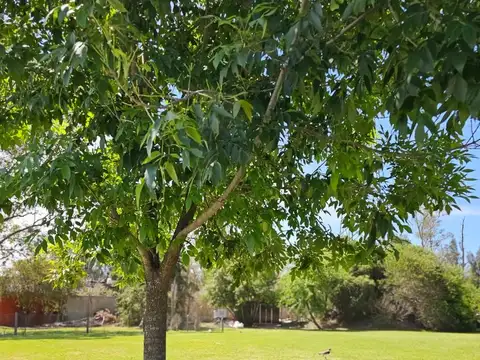 VENTA DE TERRENO EN BARRIO SANTA ISABEL 1 TOMA VEHICULO - FINANCIA Y PERMUTA  