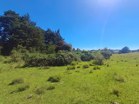 Terreno de 3.88 hectáreas en Villa Berna