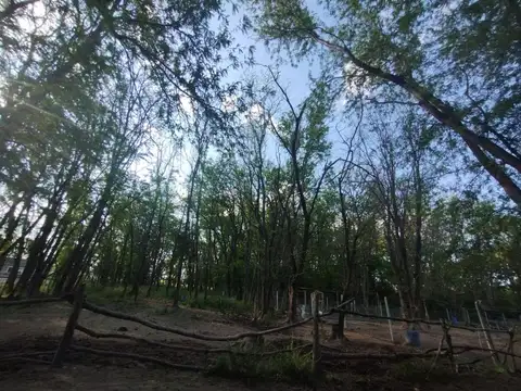 LOTE DE 26 HECTAREAS VENTA EN PILAR