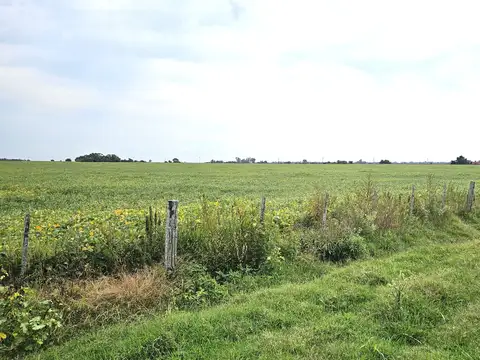 Campo en Chascomús