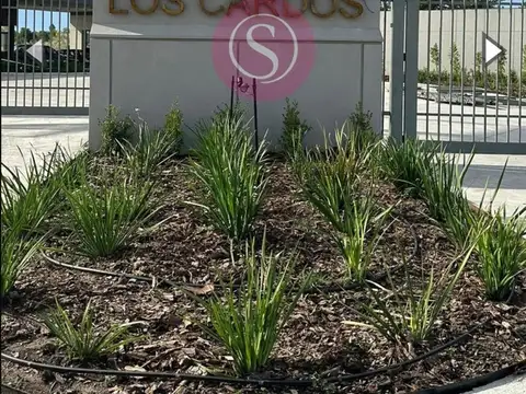 LOS CARDOS PILAR 100